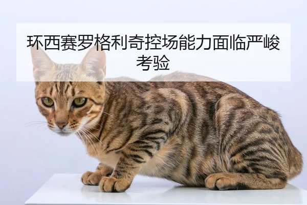 huan-xi-sai-luo-ge-li-qi-kong-chang-neng-li-mian-lin-yan-jun-kao-yan-2-691.jpg